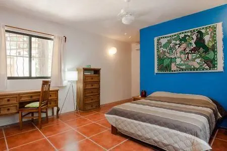 Pueblito Selva Chemuyil别墅 山林小屋 Chemuyil