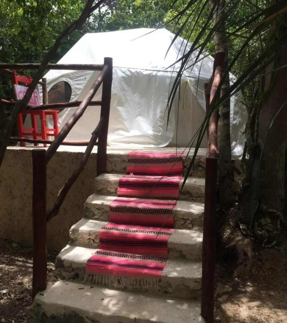 Pueblito Selva Chemuyil别墅 山林小屋 Chemuyil