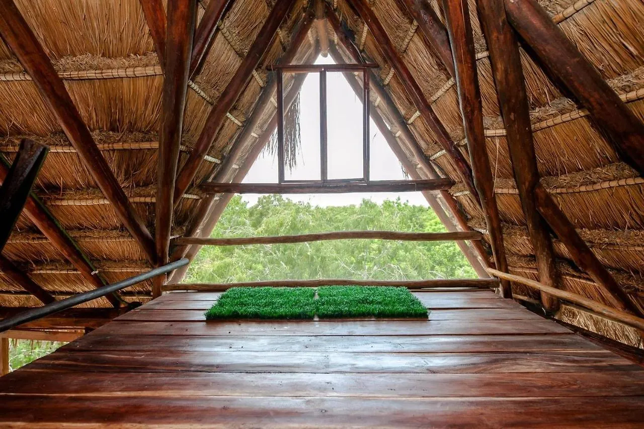 Pueblito Selva Chemuyil别墅 山林小屋 Chemuyil