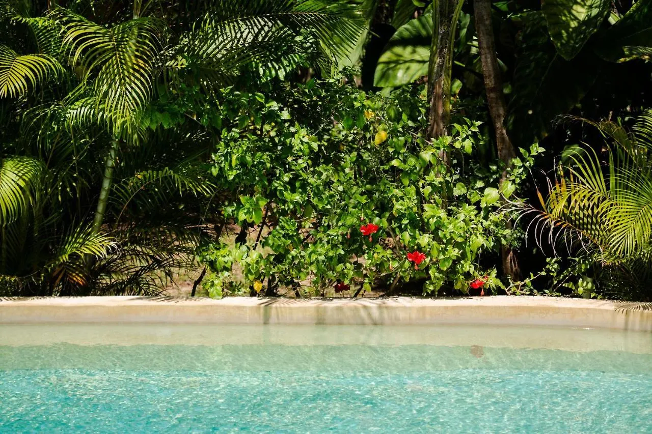 Pueblito Selva Chemuyil别墅